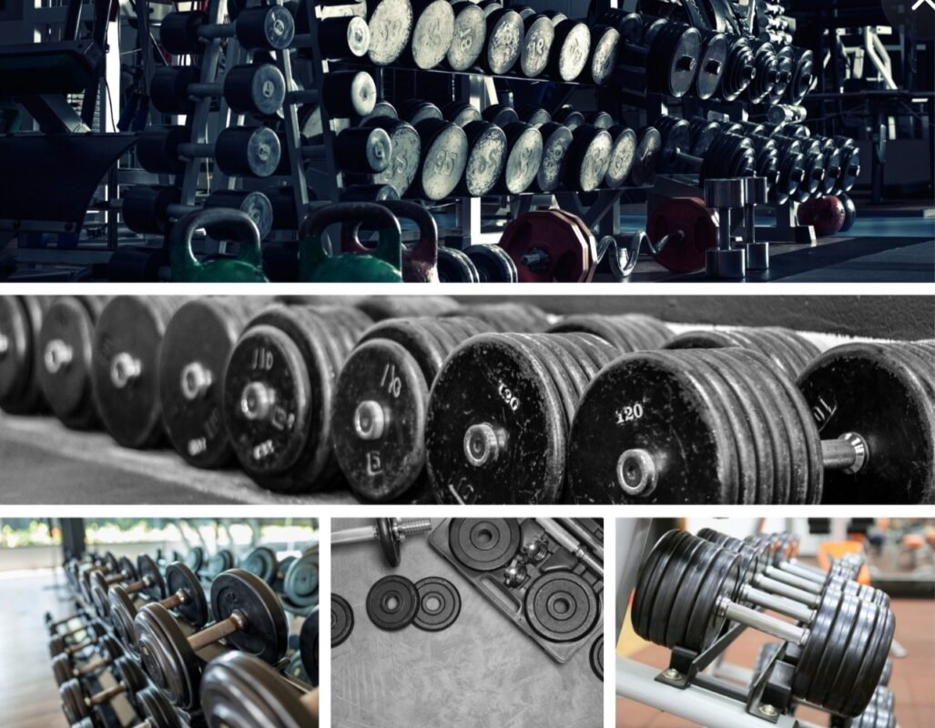 ATIVAFIT dial adjustable dumbbells for home workout