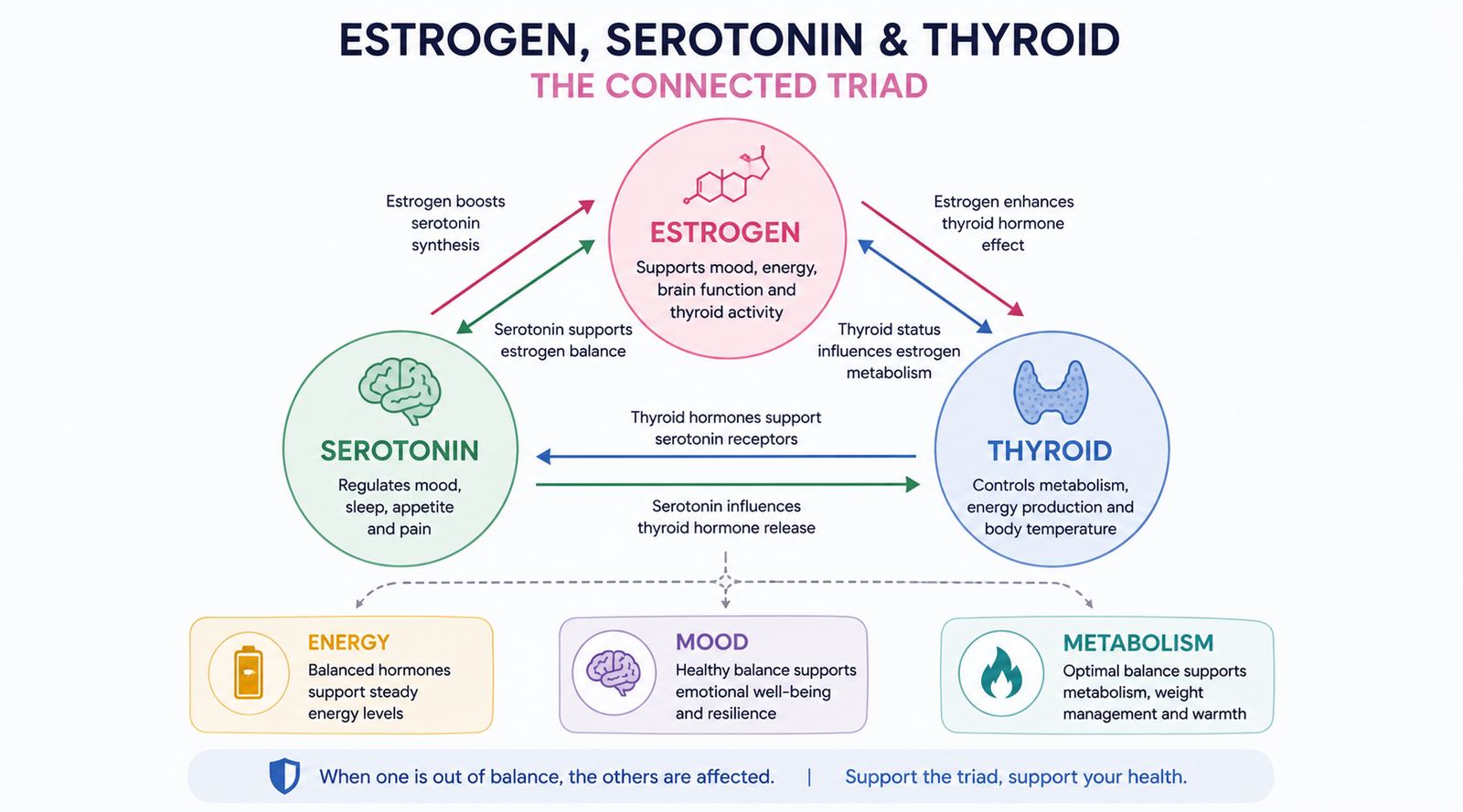 Diagram illustrating the interaction between estrogen, serotonin and thyroid function