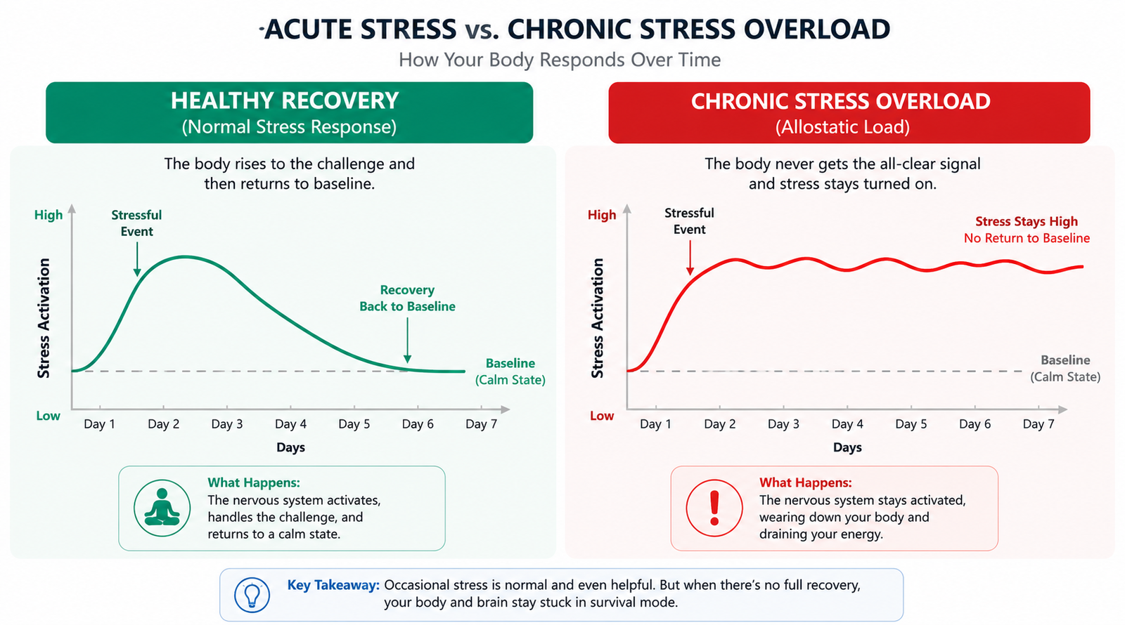Comparison diagram showing a healthy stress response that resolves versus a chronic stress response that remains elevated